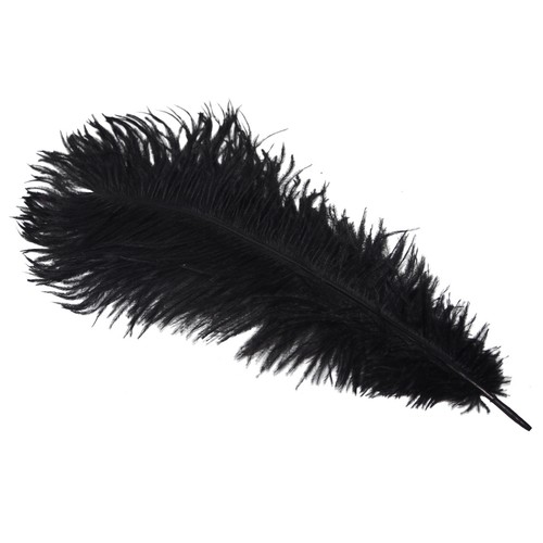 Black dyed long - black, plume