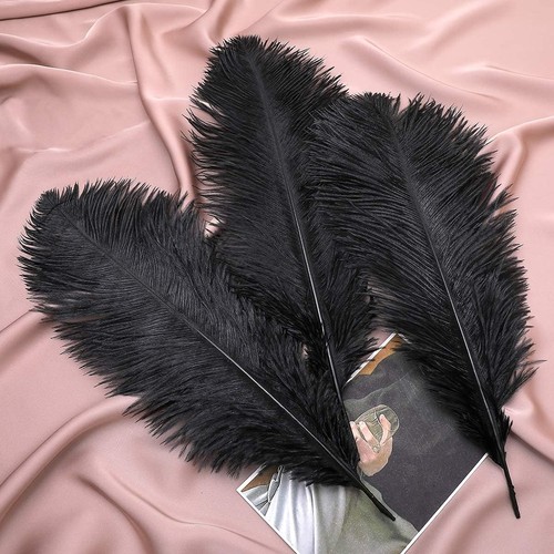 Natural ostrich feathers - natural,