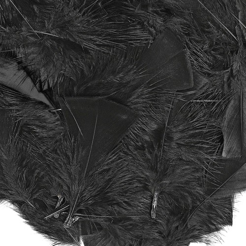 Black turkey craft - black, feathers